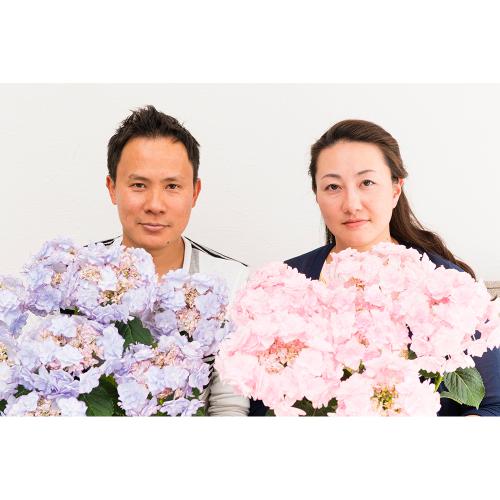 �y�x��Ă��߂�ˁI��̓��M�t�g�z�A�W�T�C�uKEIKO�v�i�s���N�j�`�F�ƌ`���ς�邳�����Ɖ��|�̃A�W�T�C�`�y��̌��M�t�g�z6