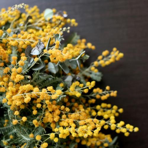 �t���b�V���@�~���U���[�X3