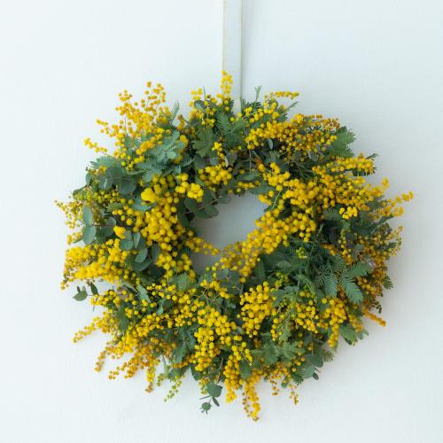 �t���b�V���@�~���U���[�X5