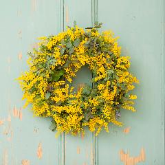 �t���b�V���@�~���U���[�X