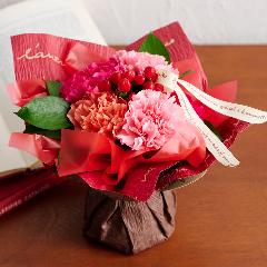 �y��̓��M�t�g�z���̂܂܏����u�}�U�[�Y�u�[�P�v