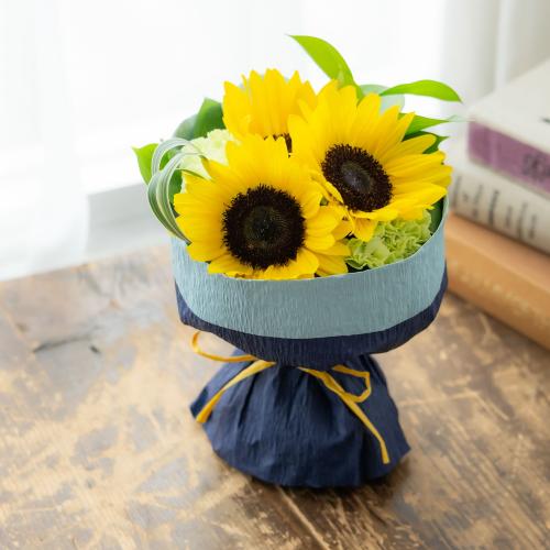 �y���̓��M�t�g�z����鉮�̊Ô[��2�큕���̂܂܏����Ђ܂��u�[�P2