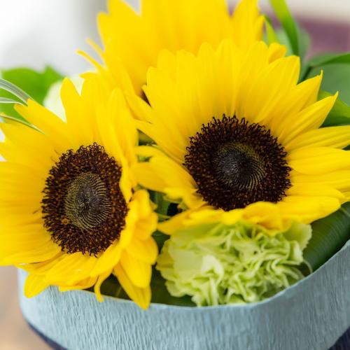 �y���̓��M�t�g�z����鉮�̊Ô[��2�큕���̂܂܏����Ђ܂��u�[�P4