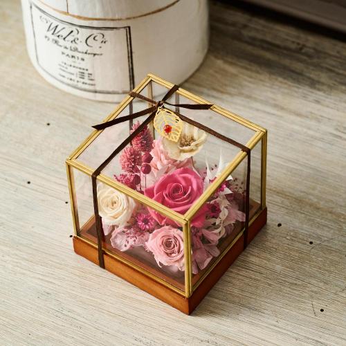 ���^�ߎ��I���W�i�� �v���~�A���v���U�[�u�h�t�����[�A�����W�u���r�[�v�y��̓��M�t�g�z