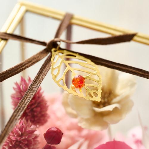 ���^�ߎ��I���W�i�� �v���~�A���v���U�[�u�h�t�����[�A�����W�u���r�[�v�y��̓��M�t�g�z3