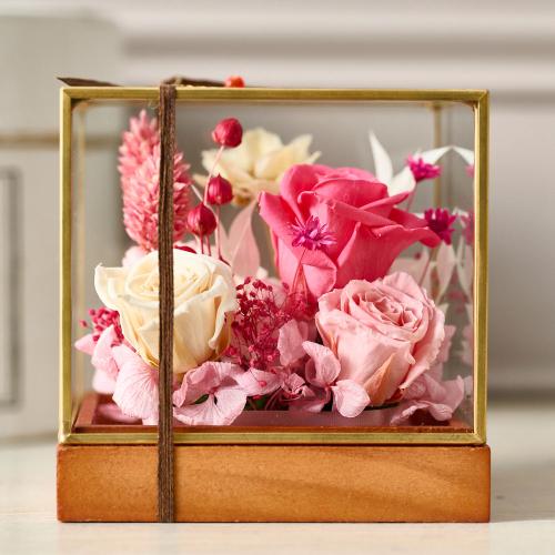 ���^�ߎ��I���W�i�� �v���~�A���v���U�[�u�h�t�����[�A�����W�u���r�[�v�y��̓��M�t�g�z4