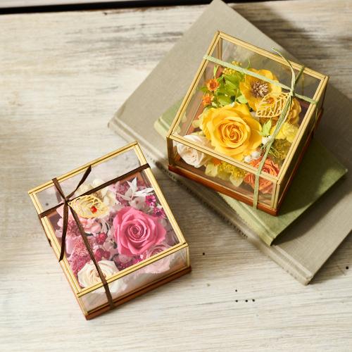 ���^�ߎ��I���W�i�� �v���~�A���v���U�[�u�h�t�����[�A�����W�u���r�[�v�y��̓��M�t�g�z6