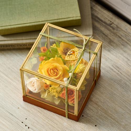 ���^�ߎ��I���W�i�� �v���~�A���v���U�[�u�h�t�����[�A�����W�u�g�p�[�Y�v�y��̓��M�t�g�z