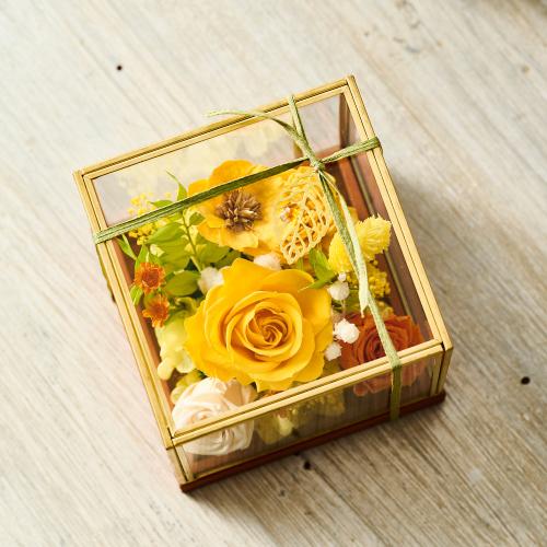 ���^�ߎ��I���W�i�� �v���~�A���v���U�[�u�h�t�����[�A�����W�u�g�p�[�Y�v�y��̓��M�t�g�z2