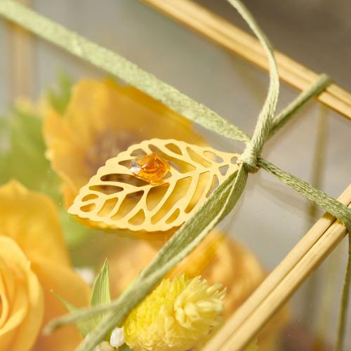 ���^�ߎ��I���W�i�� �v���~�A���v���U�[�u�h�t�����[�A�����W�u�g�p�[�Y�v�y��̓��M�t�g�z3