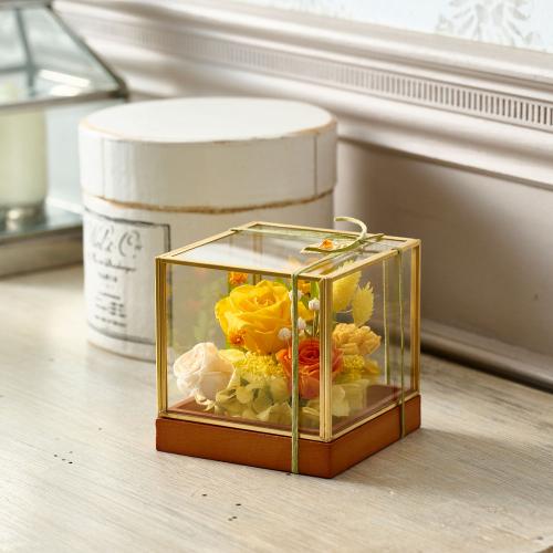 ���^�ߎ��I���W�i�� �v���~�A���v���U�[�u�h�t�����[�A�����W�u�g�p�[�Y�v�y��̓��M�t�g�z4