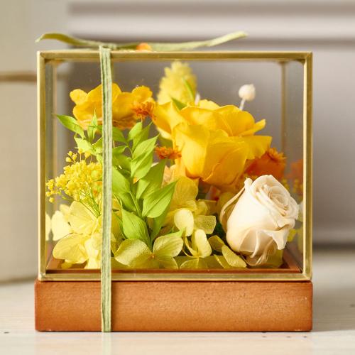 ���^�ߎ��I���W�i�� �v���~�A���v���U�[�u�h�t�����[�A�����W�u�g�p�[�Y�v�y��̓��M�t�g�z5