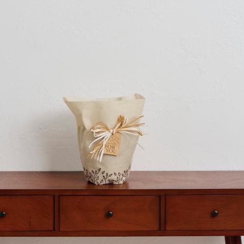 ���J�쉀�|�I���W�i�� �N���}�`�X�u�ؐ�i�͂Ȃ���j�v�y�o�X�P�b�g�Ȃ��z3