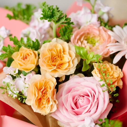 �A���}����t�����[�M�t�g�yFloma essential�z�t����@Relax�\�����b�N�X�\3