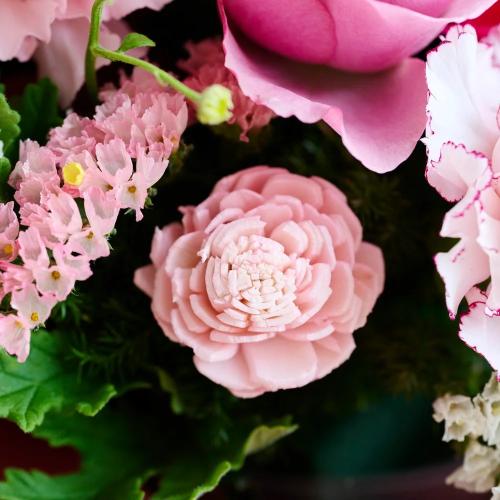 �y��̓��M�t�g�z�A���}���鐶�ԃA�����W�u�����vFloma essential Relax-�����b�N�X5