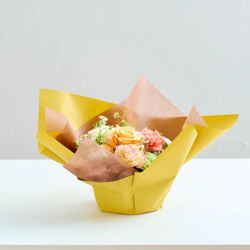 �y��̓��M�t�g�z�A���}���鐶�ԃA�����W�u�I�����W���vFloma essential Relax-�����b�N�X2