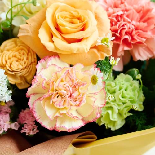 �y��̓��M�t�g�z�A���}���鐶�ԃA�����W�u�I�����W���vFloma essential Relax-�����b�N�X3