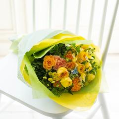 퐶IWi@CG[iLX̃u[P