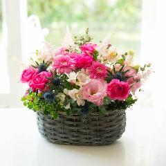 퐶IWi@sNiLX̃AWgu{[ug@tv