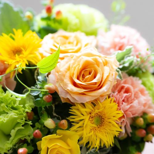 퐶IWi@IWov~AoXPbgAW3