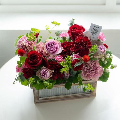 �����퐶���v���~�A���A�����W�u�r�W���[�}�}�� �v�y��̓��M�t�g�z