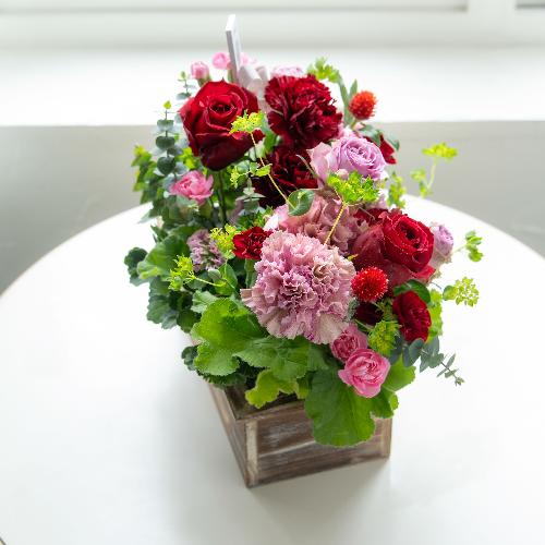 �����퐶���v���~�A���A�����W�u�r�W���[�}�}�� �v�y��̓��M�t�g�z2