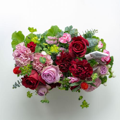 �����퐶���v���~�A���A�����W�u�r�W���[�}�}�� �v�y��̓��M�t�g�z3