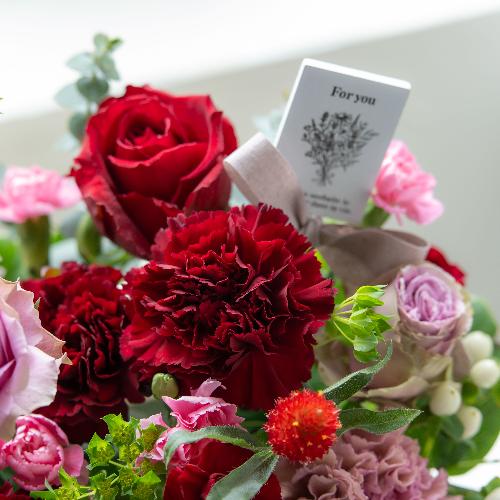 �����퐶���v���~�A���A�����W�u�r�W���[�}�}�� �v�y��̓��M�t�g�z4