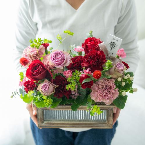 �����퐶���v���~�A���A�����W�u�r�W���[�}�}�� �v�y��̓��M�t�g�z5