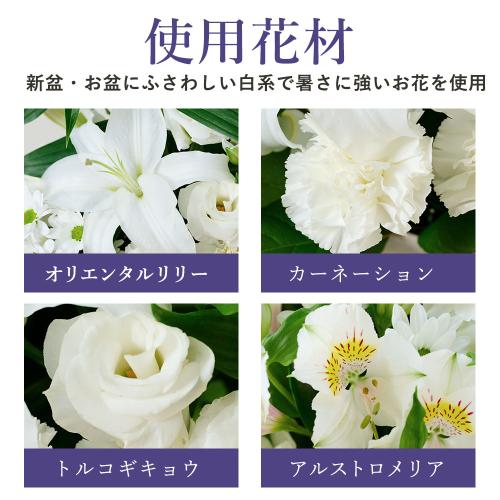 y~zv~A@ԃAWgu炩vƉĂ̊G낤2Zbg3