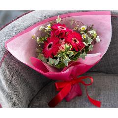 FNS`eBLy[Au]̃u[P`Love&Hopev