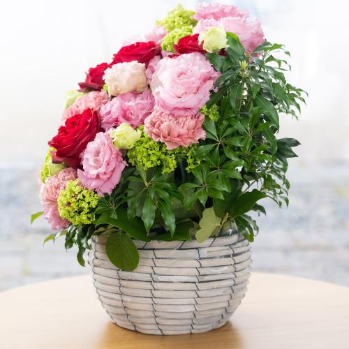 ˒ÑאIWiv~AAWguquintet rose`NCebg[Yv4