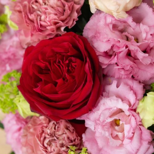˒ÑאIWiv~AAWguquintet rose`NCebg[Yv5