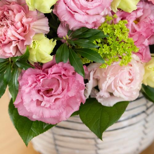 ˒ÑאIWiv~AAWguquintet rose`NCebg[Yv6