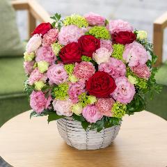 ˒ÑאIWiv~AAWguquintet rose`NCebg[Yv