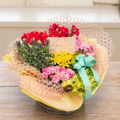 ֌aGIWi@̓v~A񂹔u}E[-Ma mere v