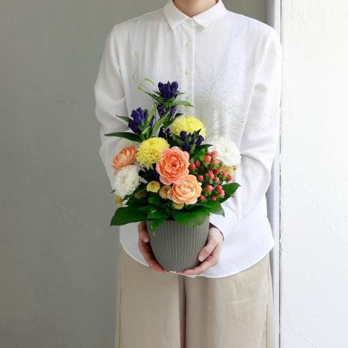 퐶IWiv~AAWg`Hiイj`2