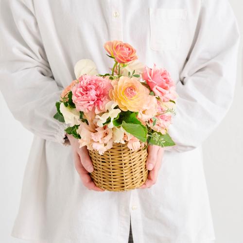 �R��c�����I���W�i�� �u�v�����^���t���[���[Printemps Fleurs�[�v�o���ƃ��i���L�����X�̃v���~�A���A�����W2