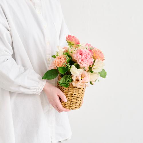 �R��c�����I���W�i�� �u�v�����^���t���[���[Printemps Fleurs�[�v�o���ƃ��i���L�����X�̃v���~�A���A�����W3