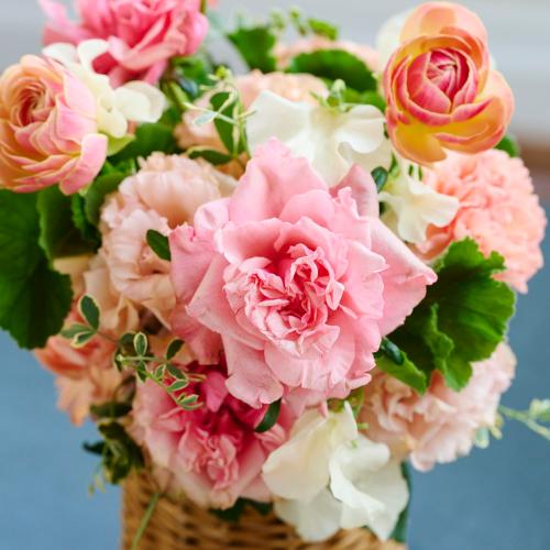 �R��c�����I���W�i�� �u�v�����^���t���[���[Printemps Fleurs�[�v�o���ƃ��i���L�����X�̃v���~�A���A�����W4