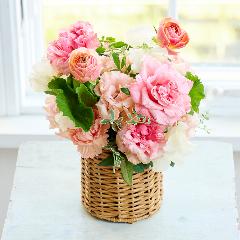 �R��c�����I���W�i�� �u�v�����^���t���[���[Printemps Fleurs�[�v�o���ƃ��i���L�����X�̃v���~�A���A�����W