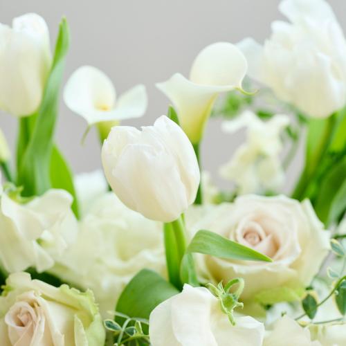 �t�̃v���~�A���������A�����W�u�Z���j�e�[serenite�[�v6