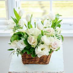 �t�̃v���~�A���������A�����W�u�Z���j�e�[serenite�[�v