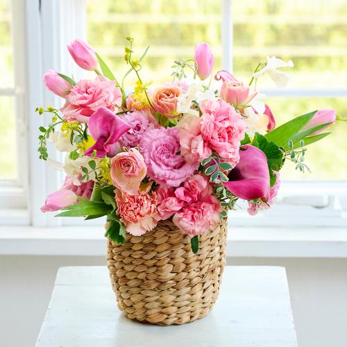 �R��c�����I���W�i���u�W���G�����[�[Jewel Rose�[�v�`���[���b�v�ƃ��i���L�����X�̃v���~�A���A�����W