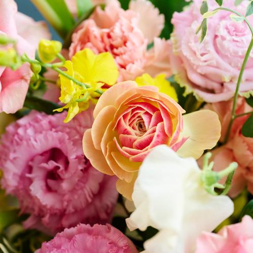 �R��c�����I���W�i���u�W���G�����[�[Jewel Rose�[�v�`���[���b�v�ƃ��i���L�����X�̃v���~�A���A�����W4