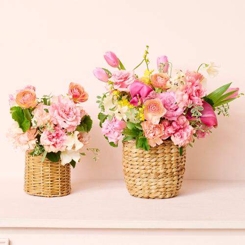 �R��c�����I���W�i���u�W���G�����[�[Jewel Rose�[�v�`���[���b�v�ƃ��i���L�����X�̃v���~�A���A�����W7