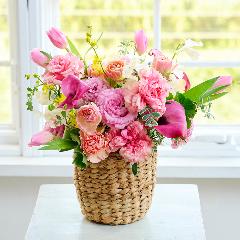 �R��c�����I���W�i���u�W���G�����[�[Jewel Rose�[�v�`���[���b�v�ƃ��i���L�����X�̃v���~�A���A�����W