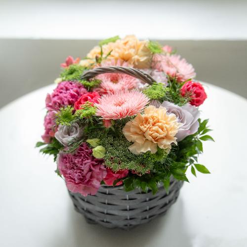 �˒Ñא����I���W�i���v���~�A�����ԃA�����W�����g�u�}�J�����v�y��̓��M�t�g�z2