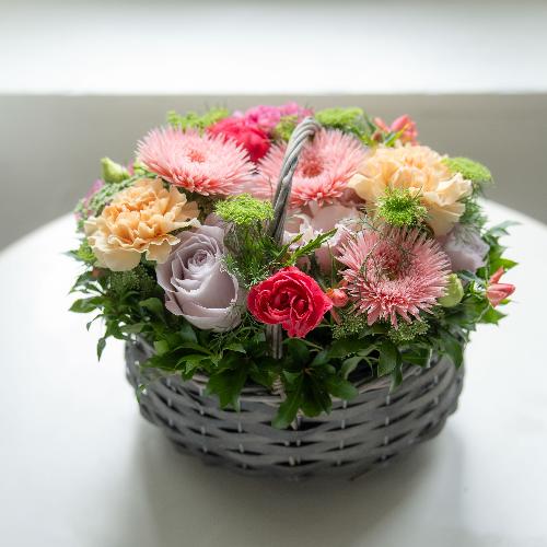 �˒Ñא����I���W�i���v���~�A�����ԃA�����W�����g�u�}�J�����v�y��̓��M�t�g�z3