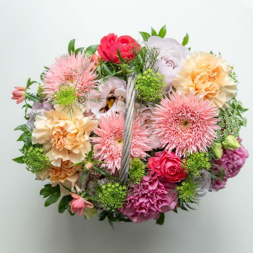 �˒Ñא����I���W�i���v���~�A�����ԃA�����W�����g�u�}�J�����v�y��̓��M�t�g�z4